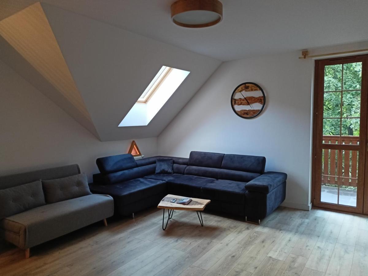 Szum Lomnicy Apartment Karpacz Exterior photo